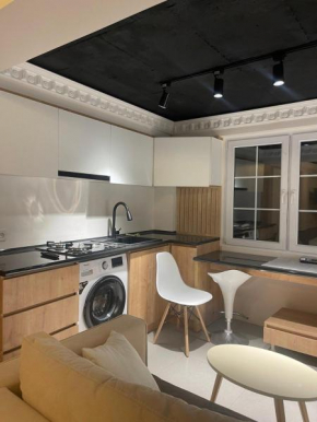 Modern Apartment By Home Elite